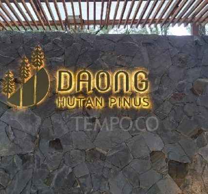 Menikmati Secangkir Kopi pada Tengah Hutan Pinus Bogor