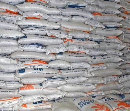 Dijamin Aman, Segini Jumlah Stok Beras yang tersebut mana Dimiliki Bulog pada di Nataru