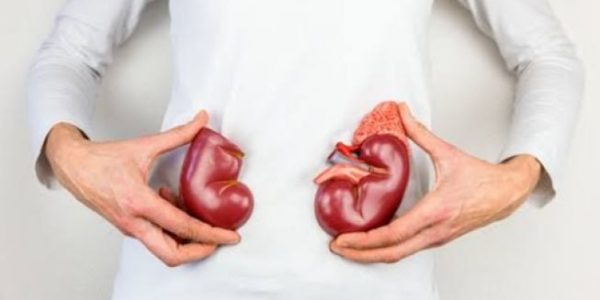Prevalensi Gagal Ginjal Masih Tinggi, Sejauh Mana Transplantasi Ginjal Bisa Jadi Solusi?